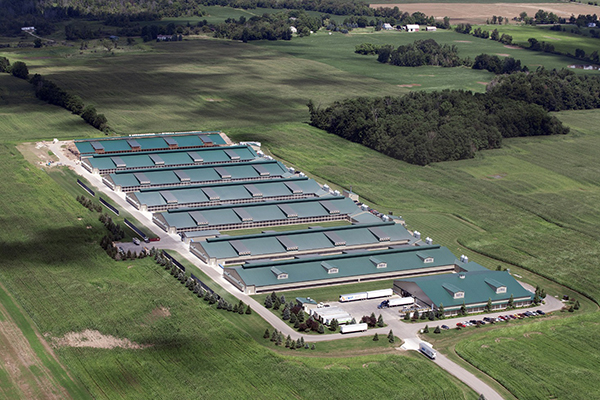 Shanxi FuturePeak Innovations Group Co.,Ltd